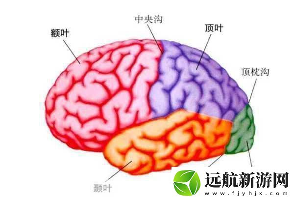 分裂之門2震撼來(lái)襲