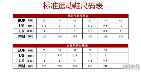 歐洲尺碼表2024視頻