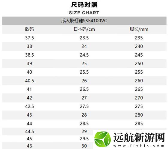 探索歐洲尺碼與日本尺碼線之間的奧秘