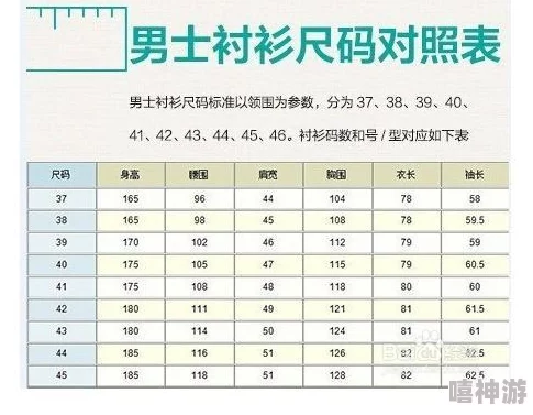 歐洲尺碼表2024視頻