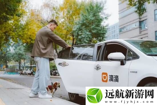 滴滴寵物出行全國上線！新增寵物快車車型